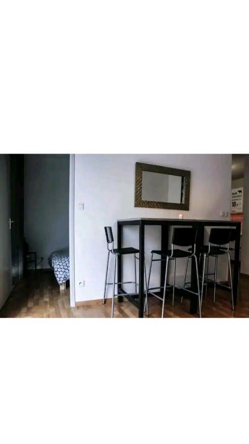 Bel Appartement Proche Du Canal Du Midi Toulouse Eksteriør bilde