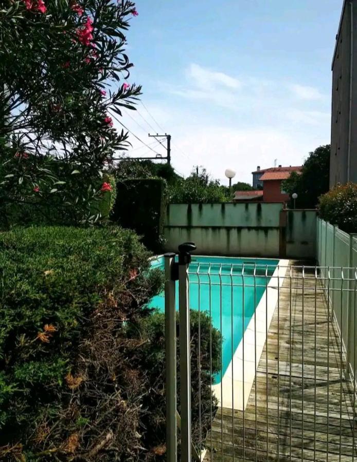 Bel Appartement Proche Du Canal Du Midi Toulouse Eksteriør bilde