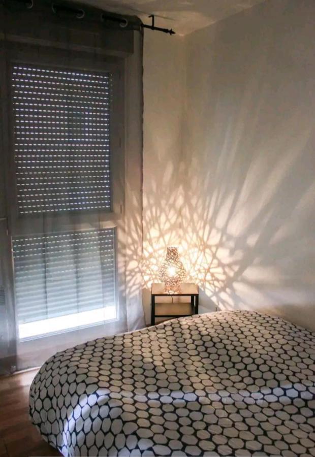 Bel Appartement Proche Du Canal Du Midi Toulouse Eksteriør bilde